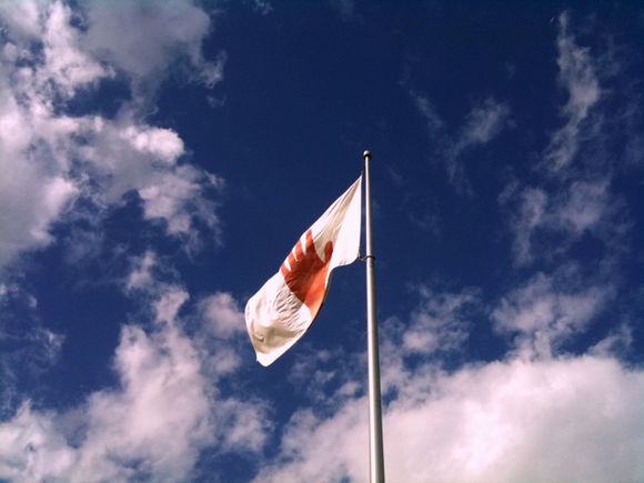 photo.jpg