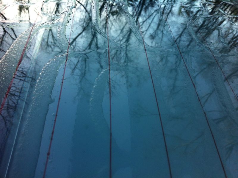 Frost on rear windshield, November