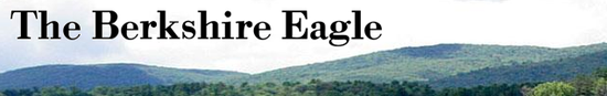 Eagle Eagle
