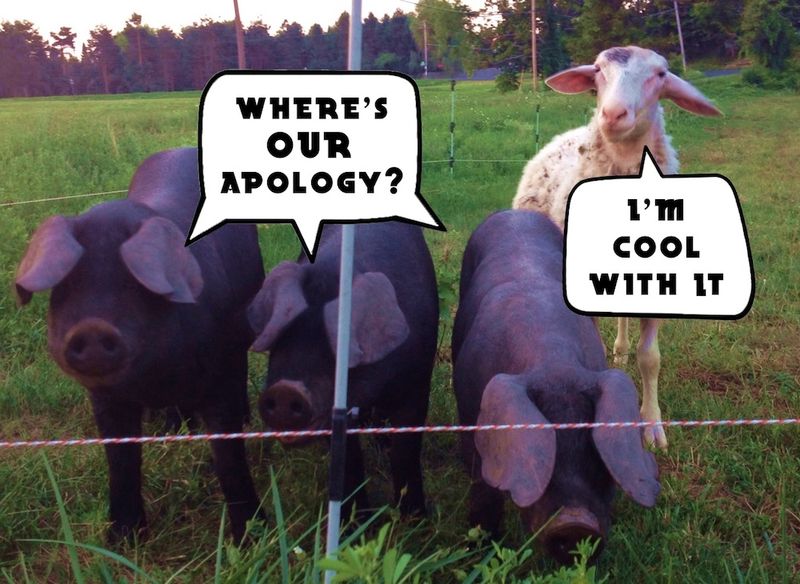 Pigandgoat