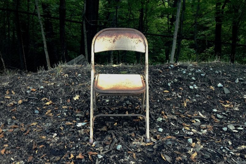 Woods-office