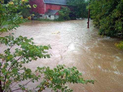 DSMichaels-PunsitCreek
