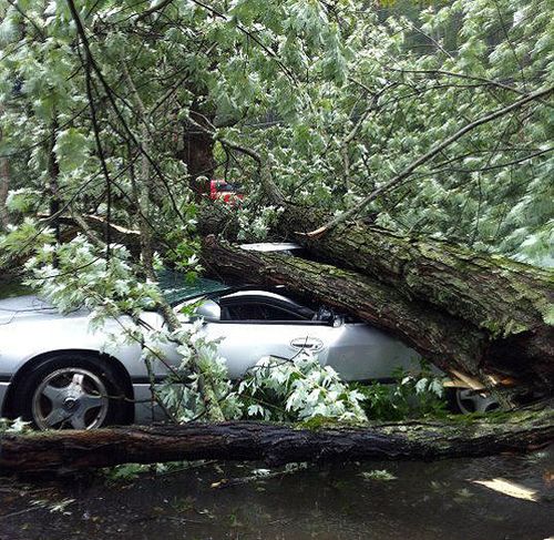 JeffRavida-Selkirk